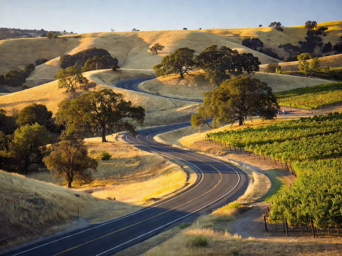 California highway lined with golden hills, oaks and vineyards